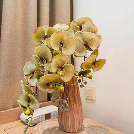 Rr Apartamentai Palangos Centre *